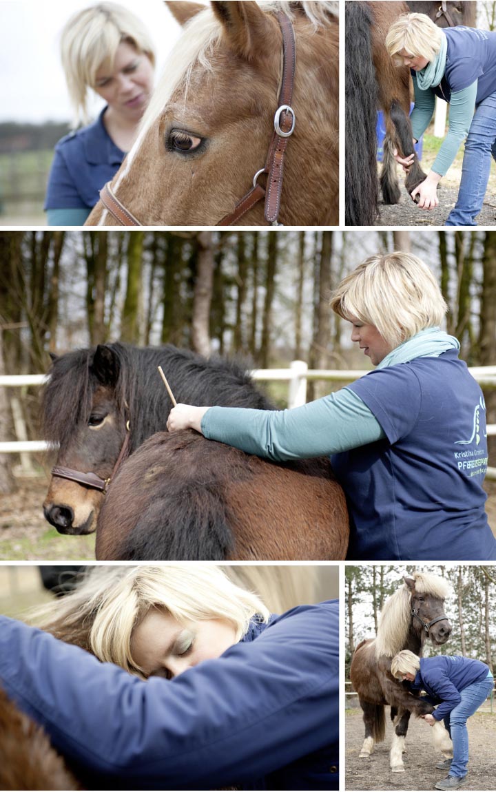 Kristina Gardemann behandelt Pferd